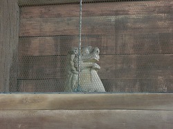狛犬？その1