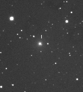Supernova 2007B in NGC 7315
