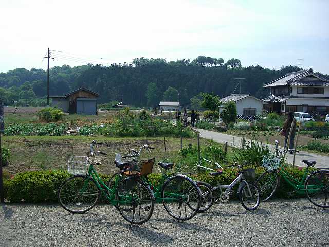 西門から甘樫丘を望む