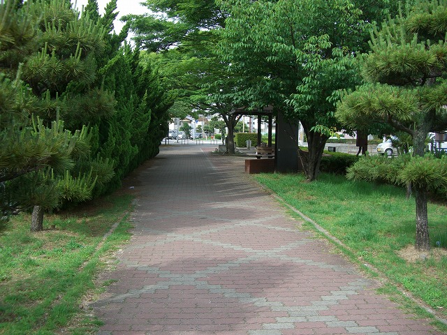 野口側入口付近の並木