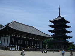 興福寺(東金堂と五重塔)